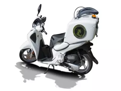 MOTODOG